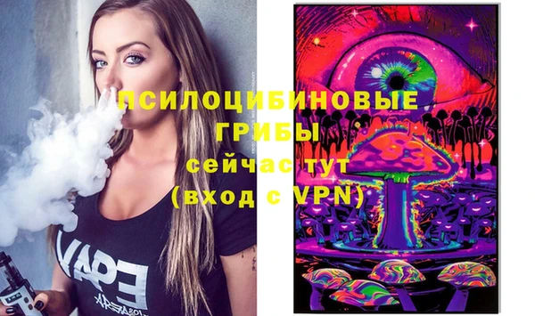 дмт Дмитриев