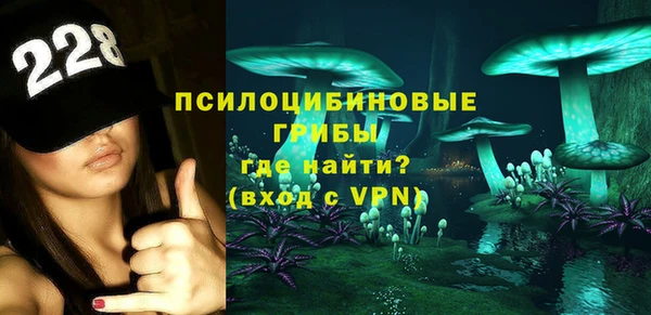 дмт Дмитриев